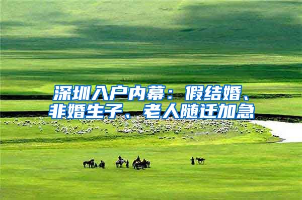 深圳入户内幕：假结婚、非婚生子、老人随迁加急