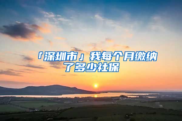 「深圳市」我每个月缴纳了多少社保