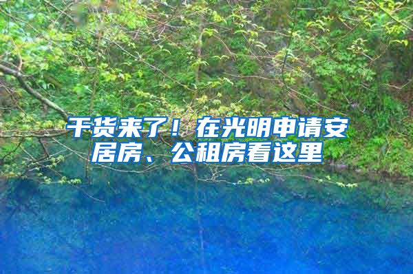 干货来了！在光明申请安居房、公租房看这里