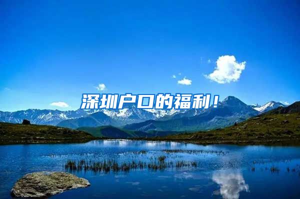 深圳户口的福利！