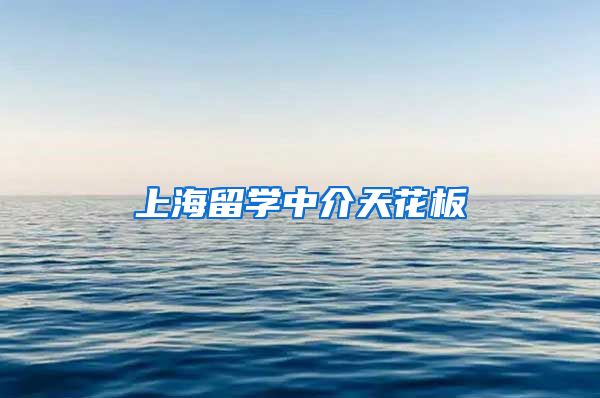 上海留学中介天花板