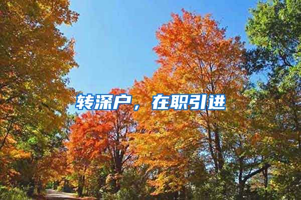 转深户，在职引进