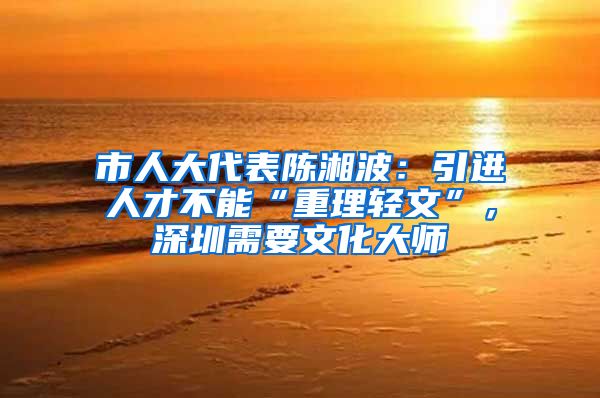 市人大代表陈湘波：引进人才不能“重理轻文”，深圳需要文化大师