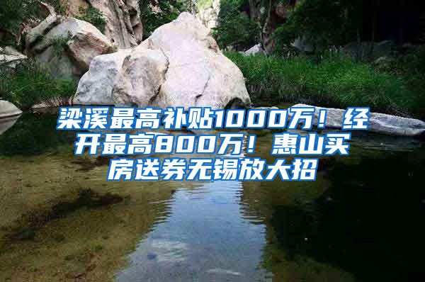 梁溪最高补贴1000万！经开最高800万！惠山买房送券无锡放大招