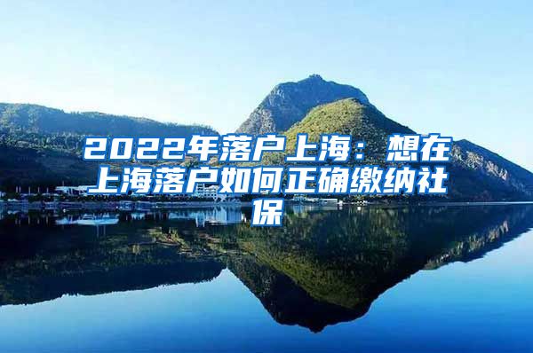 2022年落户上海：想在上海落户如何正确缴纳社保