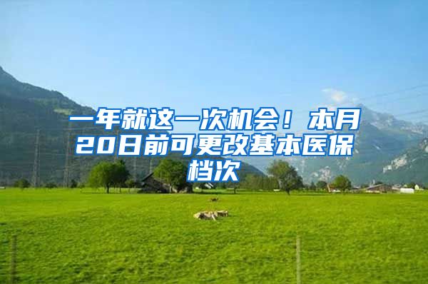 一年就这一次机会！本月20日前可更改基本医保档次