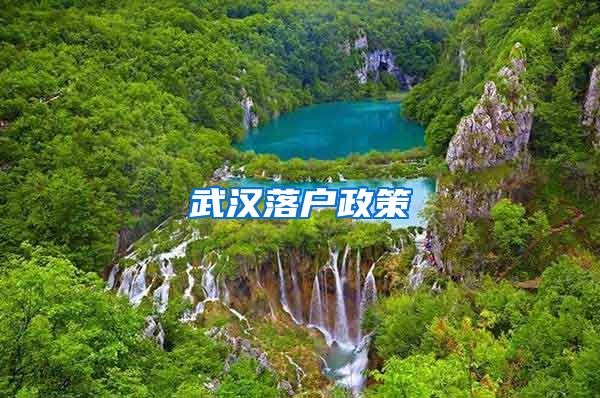 武汉落户政策