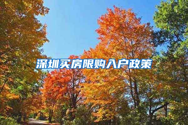 深圳买房限购入户政策