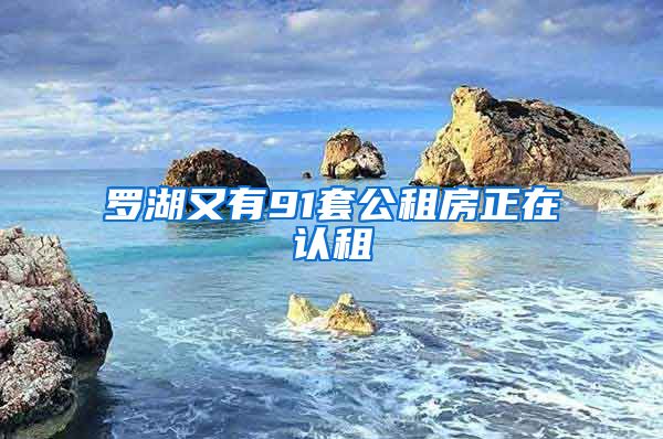 罗湖又有91套公租房正在认租
