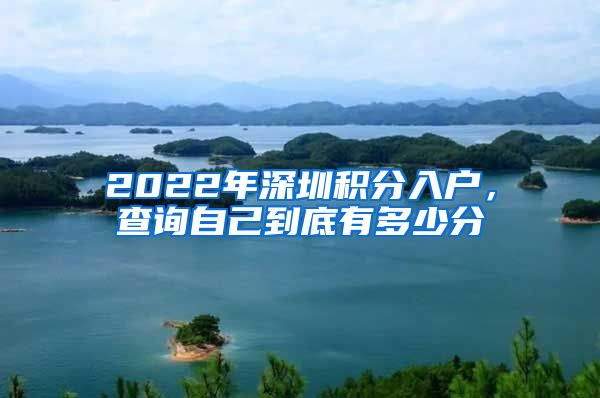 2022年深圳积分入户，查询自己到底有多少分