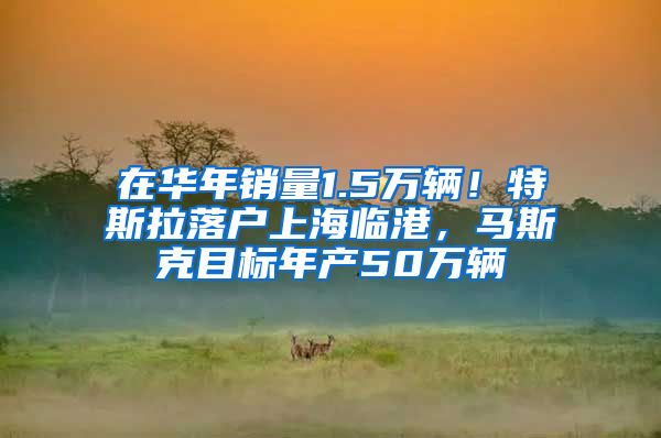 在华年销量1.5万辆！特斯拉落户上海临港，马斯克目标年产50万辆