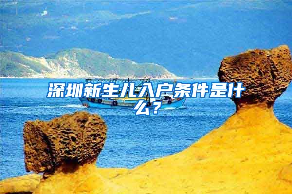 深圳新生儿入户条件是什么？