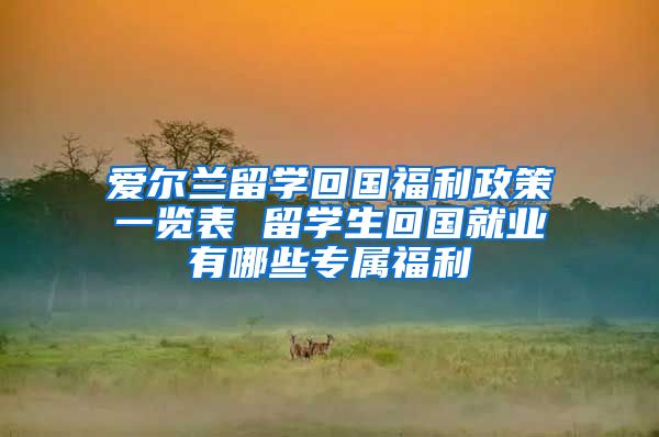 爱尔兰留学回国福利政策一览表 留学生回国就业有哪些专属福利
