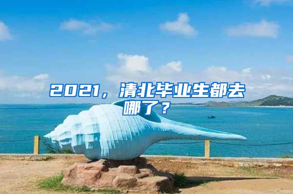 2021，清北毕业生都去哪了？