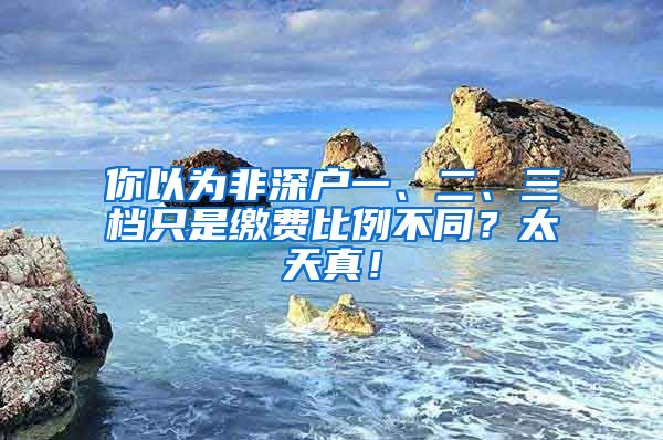 你以为非深户一、二、三档只是缴费比例不同？太天真！