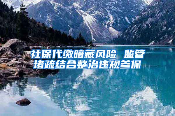 社保代缴暗藏风险 监管堵疏结合整治违规参保