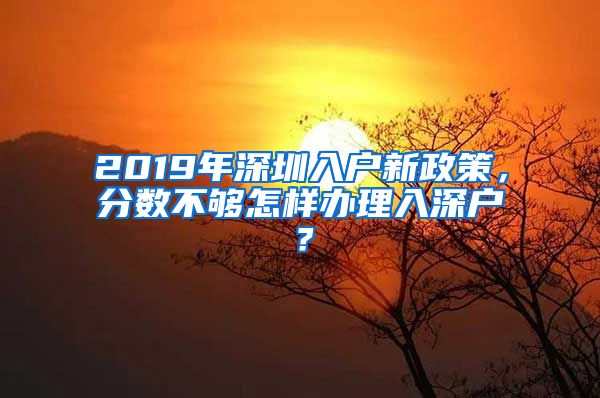 2019年深圳入户新政策，分数不够怎样办理入深户？