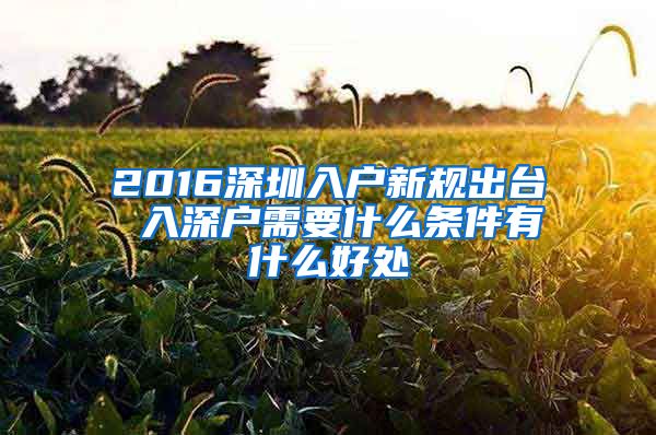 2016深圳入户新规出台 入深户需要什么条件有什么好处
