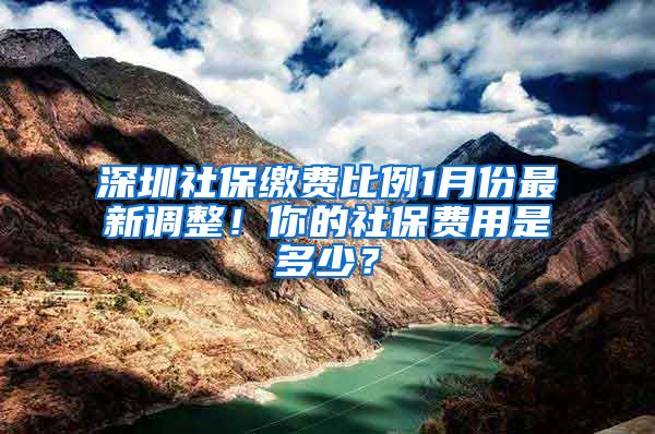 深圳社保缴费比例1月份最新调整！你的社保费用是多少？