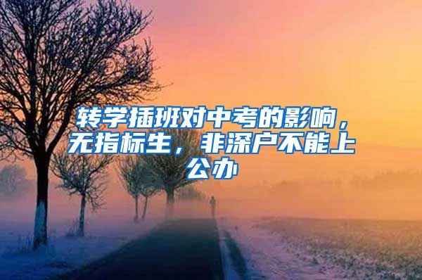 转学插班对中考的影响，无指标生，非深户不能上公办