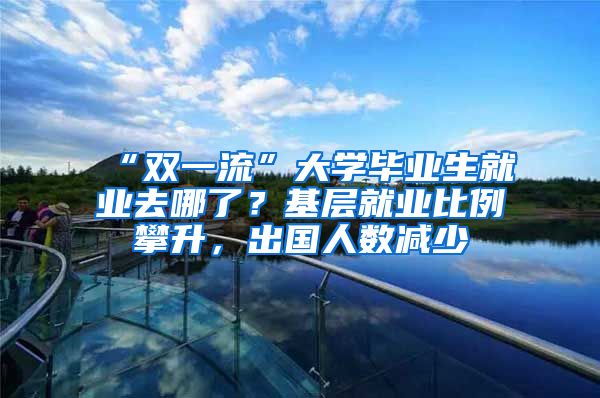 “双一流”大学毕业生就业去哪了？基层就业比例攀升，出国人数减少