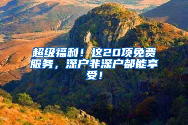 超级福利！这20项免费服务，深户非深户都能享受！