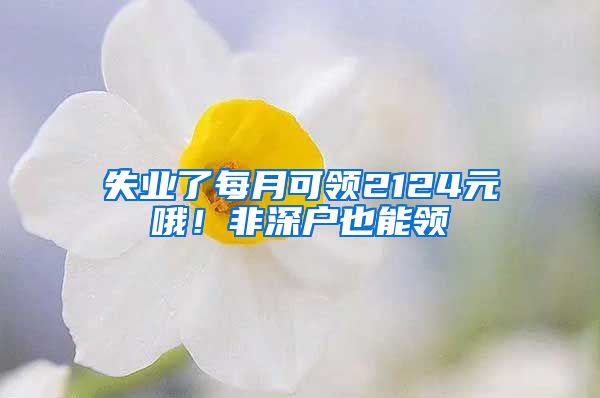 失业了每月可领2124元哦！非深户也能领