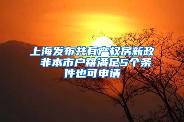 上海发布共有产权房新政 非本市户籍满足5个条件也可申请