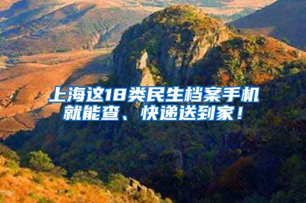 上海这18类民生档案手机就能查、快递送到家！