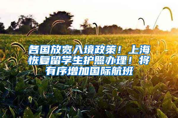 各国放宽入境政策！上海恢复留学生护照办理！将有序增加国际航班