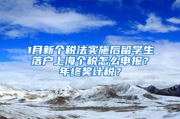 1月新个税法实施后留学生落户上海个税怎么申报？年终奖计税？