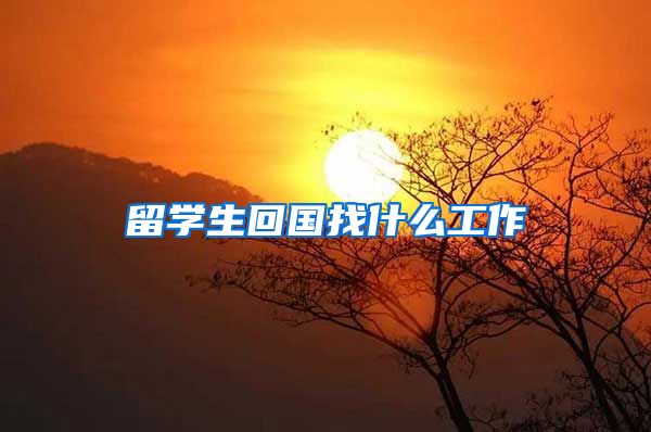 留学生回国找什么工作