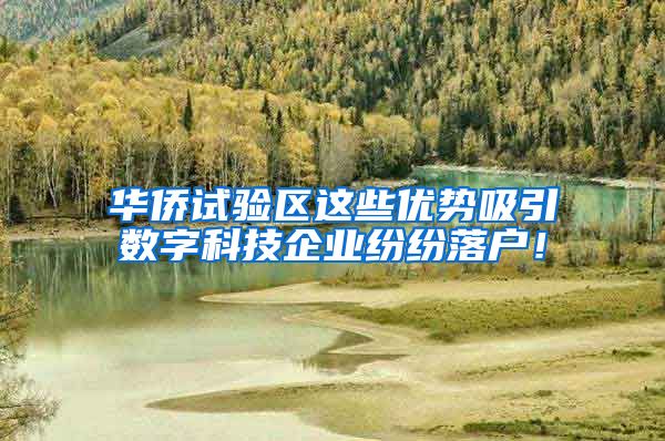 华侨试验区这些优势吸引数字科技企业纷纷落户！