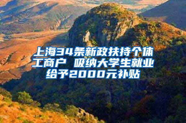 上海34条新政扶持个体工商户 吸纳大学生就业给予2000元补贴