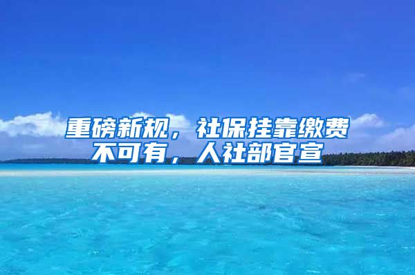 重磅新规，社保挂靠缴费不可有，人社部官宣