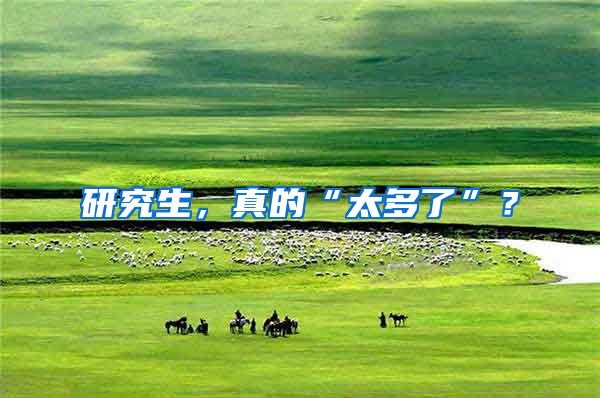 研究生，真的“太多了”？