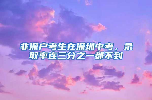 非深户考生在深圳中考，录取率连三分之一都不到