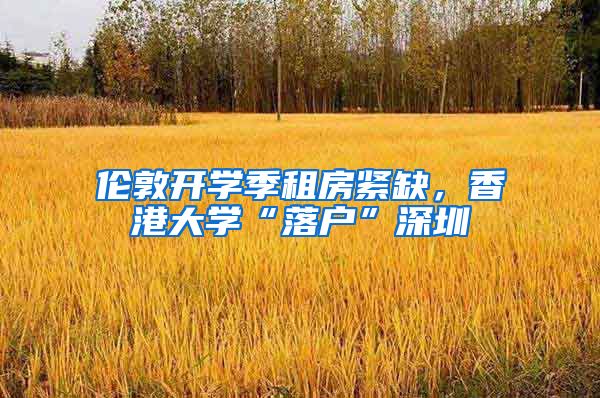 伦敦开学季租房紧缺，香港大学“落户”深圳