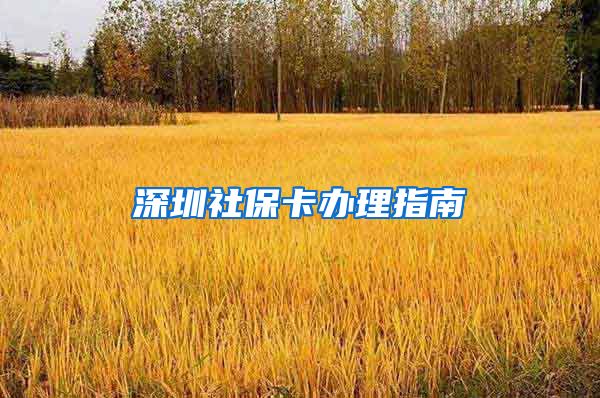 深圳社保卡办理指南