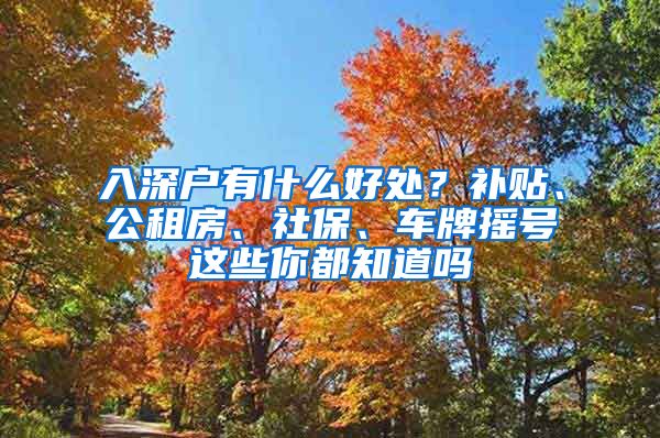 入深户有什么好处？补贴、公租房、社保、车牌摇号这些你都知道吗