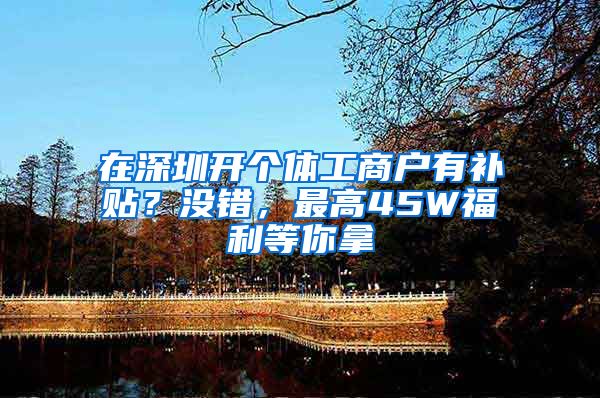 在深圳开个体工商户有补贴？没错，最高45W福利等你拿