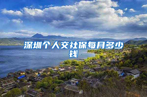 深圳个人交社保每月多少钱