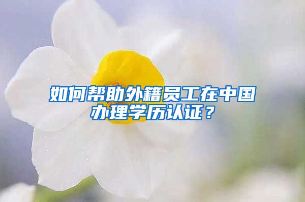 如何帮助外籍员工在中国办理学历认证？