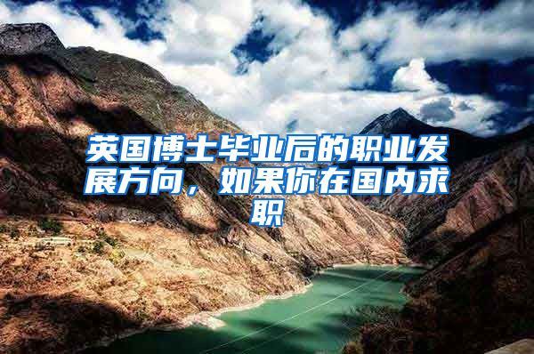 英国博士毕业后的职业发展方向，如果你在国内求职