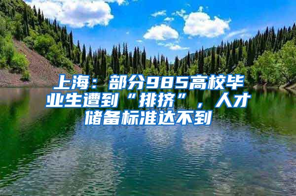 上海：部分985高校毕业生遭到“排挤”，人才储备标准达不到