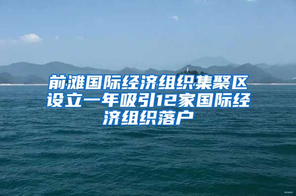 前滩国际经济组织集聚区设立一年吸引12家国际经济组织落户