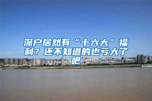 深户居然有“十六大”福利？还不知道的也亏大了吧
