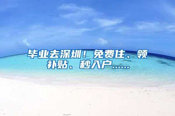 毕业去深圳！免费住、领补贴、秒入户......