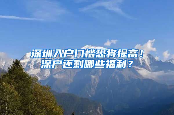 深圳入户门槛恐将提高！深户还剩哪些福利？
