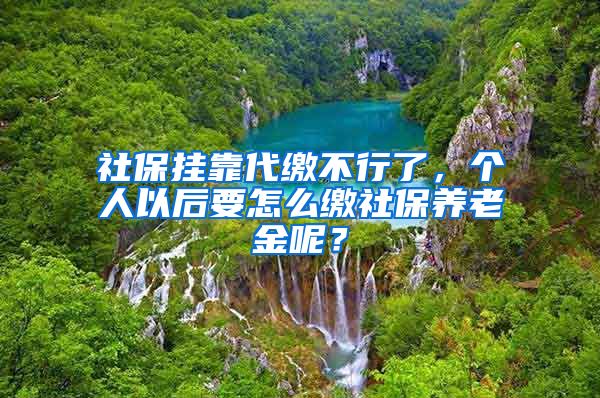 社保挂靠代缴不行了，个人以后要怎么缴社保养老金呢？